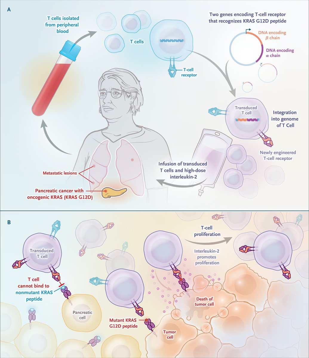 Mark Lewis, MD, FASCO tweet media