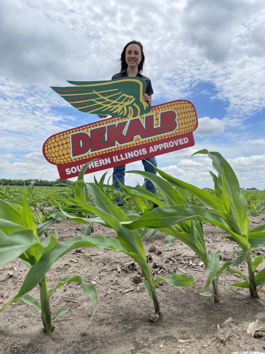 jw_schneid's tweet image. Scouting the new @BayerTraits #SmartCorn (short 🌽) system with @Kath_McKittrick in Madison Co. Looking forward to the management advantages this will provide. @DKAS_SIL #Bayer4IL