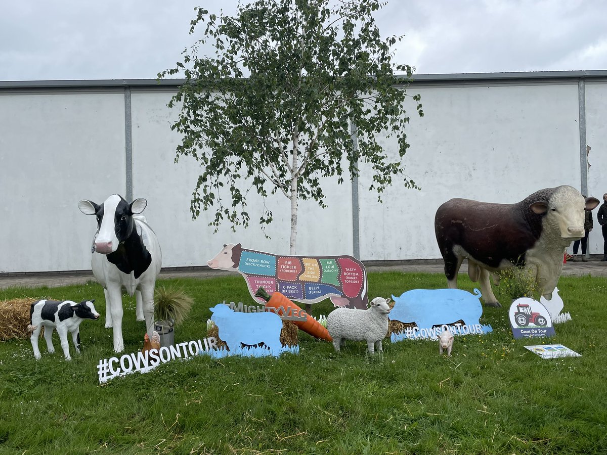 Lowri Price (@lowri_morris1) on Twitter photo From the Senedd yesterday to Llysfasi college today! <a href="/NFUCymru/">NFU Cymru 🚜</a> and <a href="/CowsOnTour/">CowsOnTour</a> engaging with 450 school children - they learnt about sheep, dairy, crops, machinery, red meat & chickens to name a few👏 🐔 🐄 🐑 🚜 #wearewelshfarming #WelshFarmingWeek #NextGeneration From the Senedd yesterday to Llysfasi college today! <a href="/NFUCymru/">NFU Cymru 🚜</a> and <a href="/CowsOnTour/">CowsOnTour</a> engaging with 450 school children - they learnt about sheep, dairy, crops, machinery, red meat & chickens to name a few👏 🐔 🐄 🐑 🚜 #wearewelshfarming #WelshFarmingWeek #NextGeneration