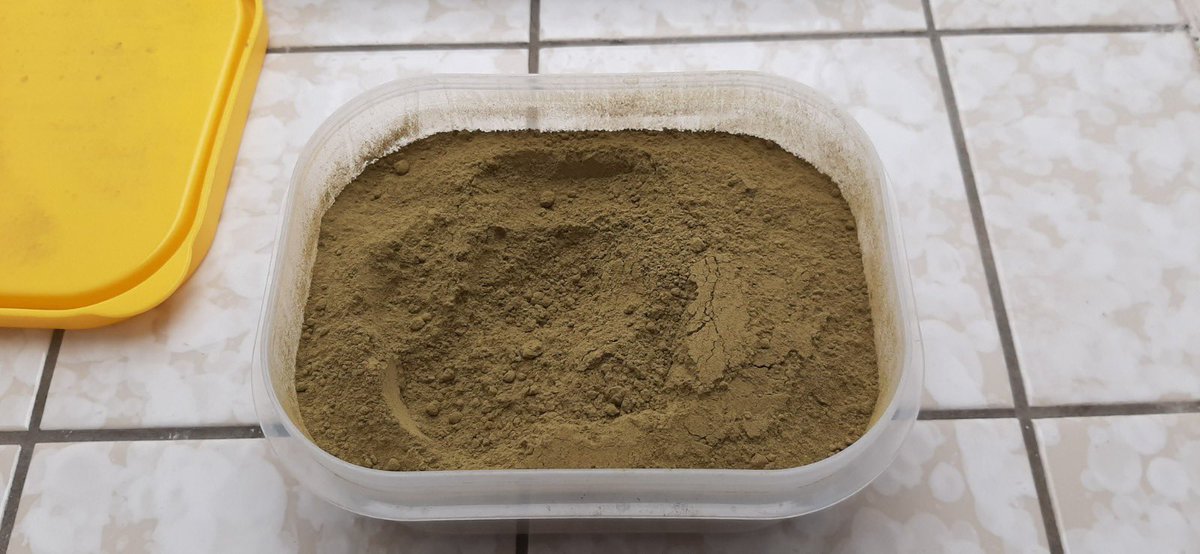 nextbotanical's tweet photo. Javanica arrived safely 🇩🇪☺️

https://t.co/ajgbKs0J5W

#kratom #iamkratom #kratomusa #kratomgermany #kratomflorida #kratomtea #kr8tom https://t.co/jttU1VE4vI