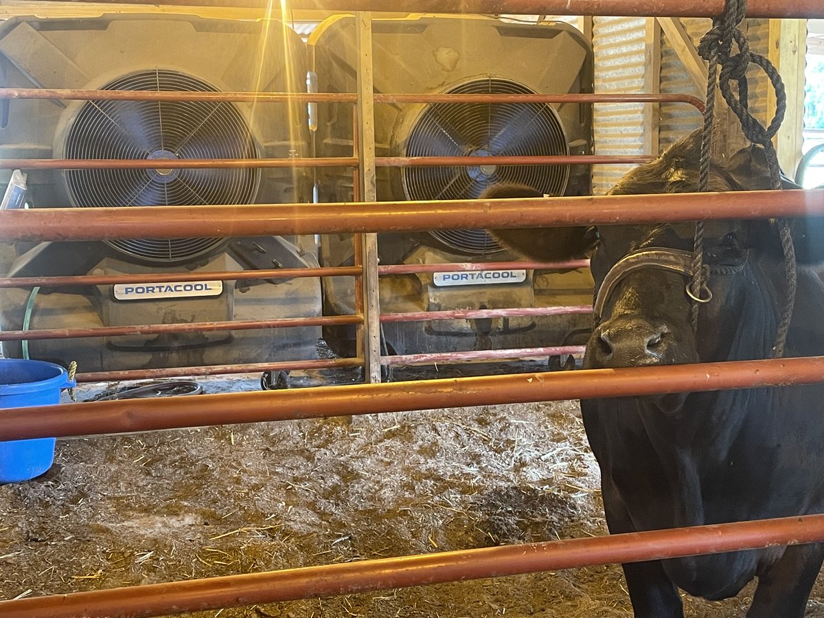 portacool's tweet photo. Beef up your cooling game this summer.
#portacool #evaporativecooling #barncooling #madeinUSA #ag #cooling #portablecooling https://t.co/nx226QTa2U