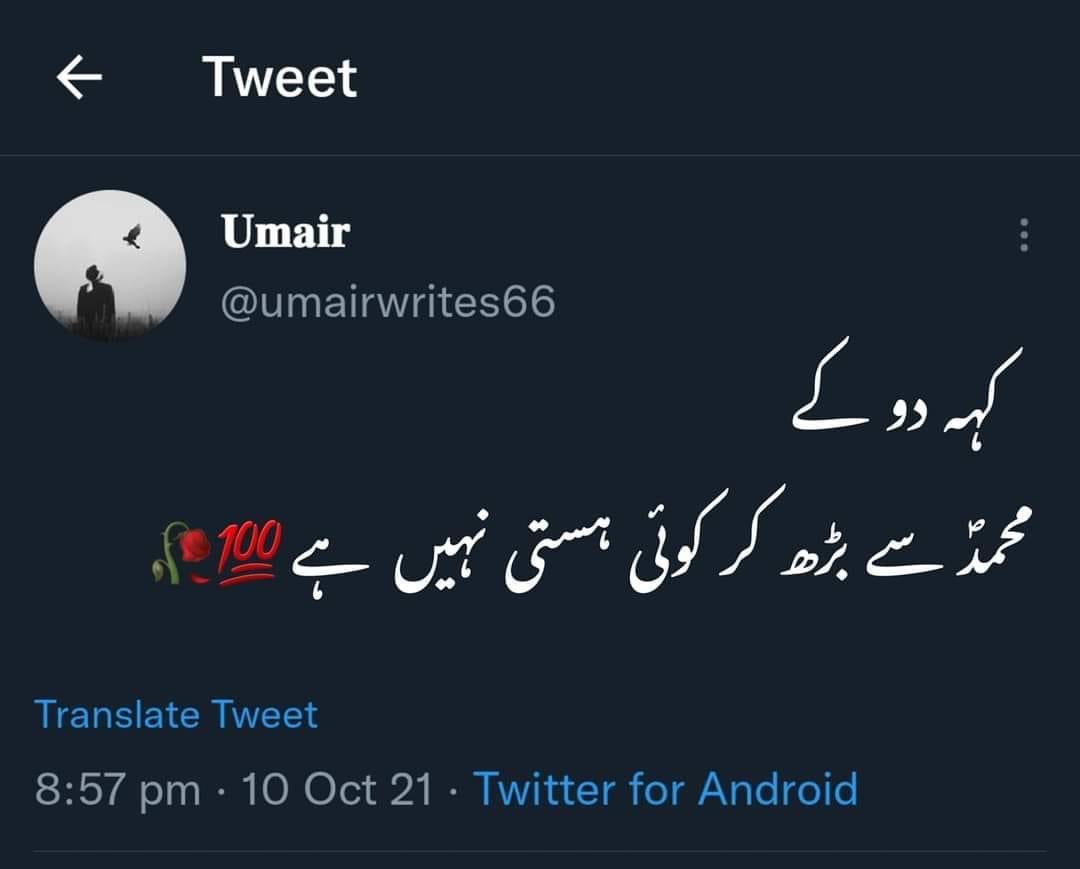 Syeda Wajiha Abid Rehmani tweet media
