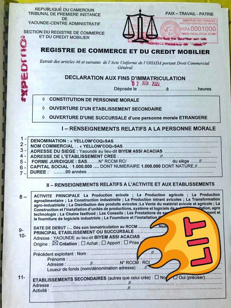 Christ_Ngongang's tweet photo. Sinon après une longue procédure chez le notaire nous avons Officiellement créer la Société Yellow'Coq SAS🎉 (@YellowCoq ) 
Hier nous étions un projet incubé par @KIROOGames Aujourd'hui nous sommes une entreprise formelle😊

Le chemin reste long, nous celebrons ce petit pas.👏 https://t.co/GjLETUis2O