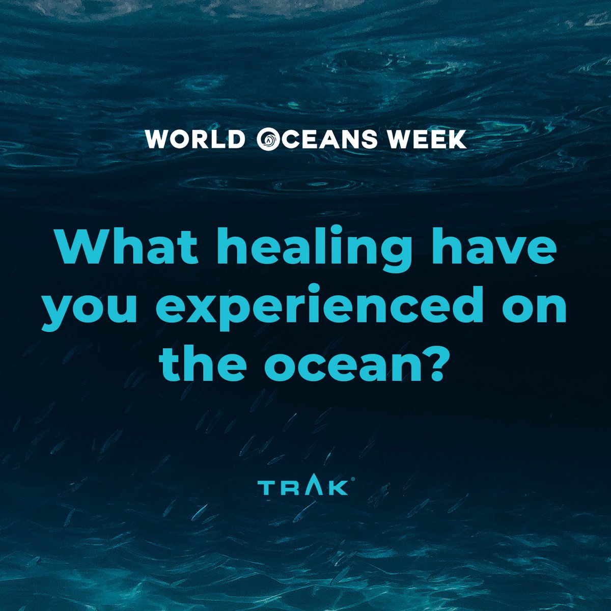 World Oceans Week - Day 8! 
Every day we ask a different question about our relationship to the oceans around us… today’s is: “What healing have you experienced on the ocean?”
We would love to hear from you!  
Please share and comment.
#TRAK #WorldOceansWeek #WorldOceansDay