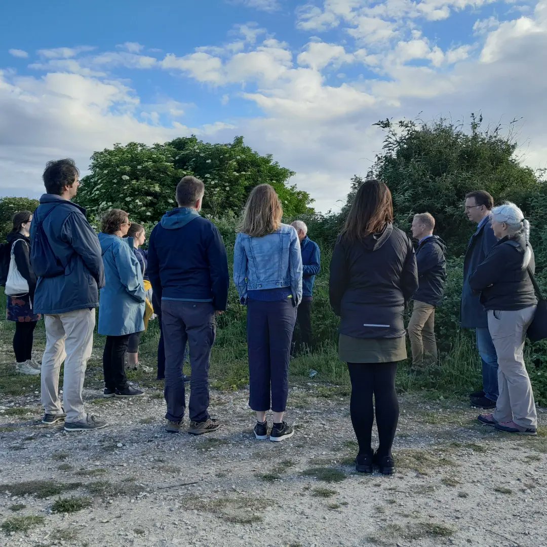 asemedo's tweet image. Herb walking
#slowmemory