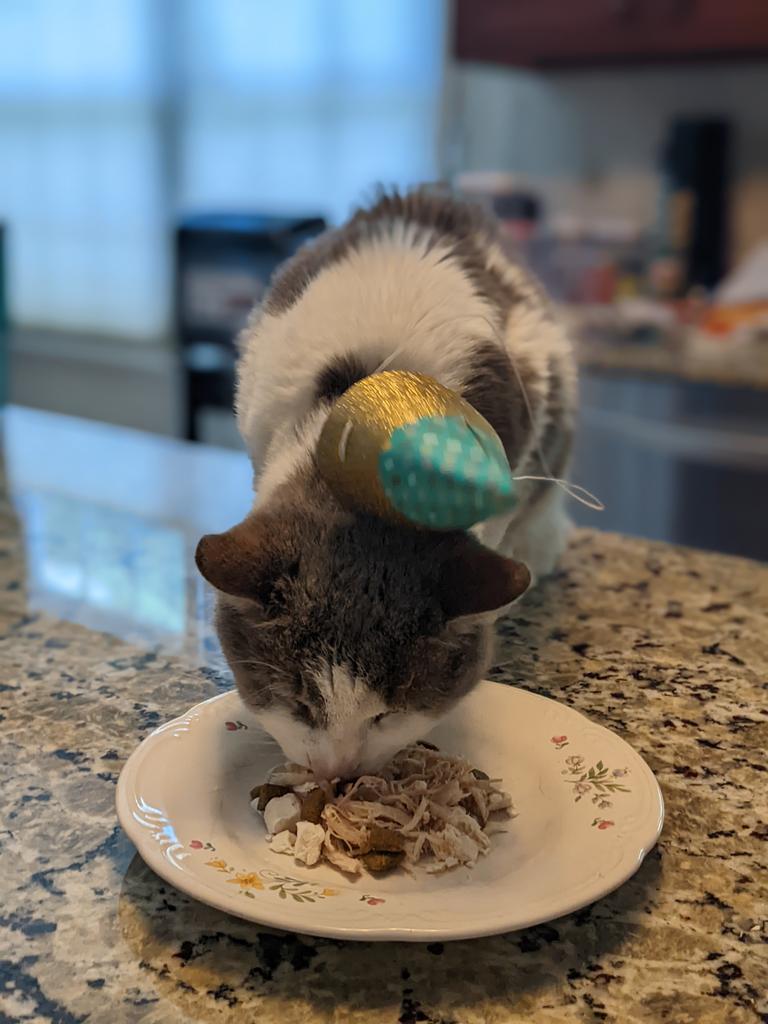 Denise 🇺🇦🇺🇦🇺🇦 tweet media