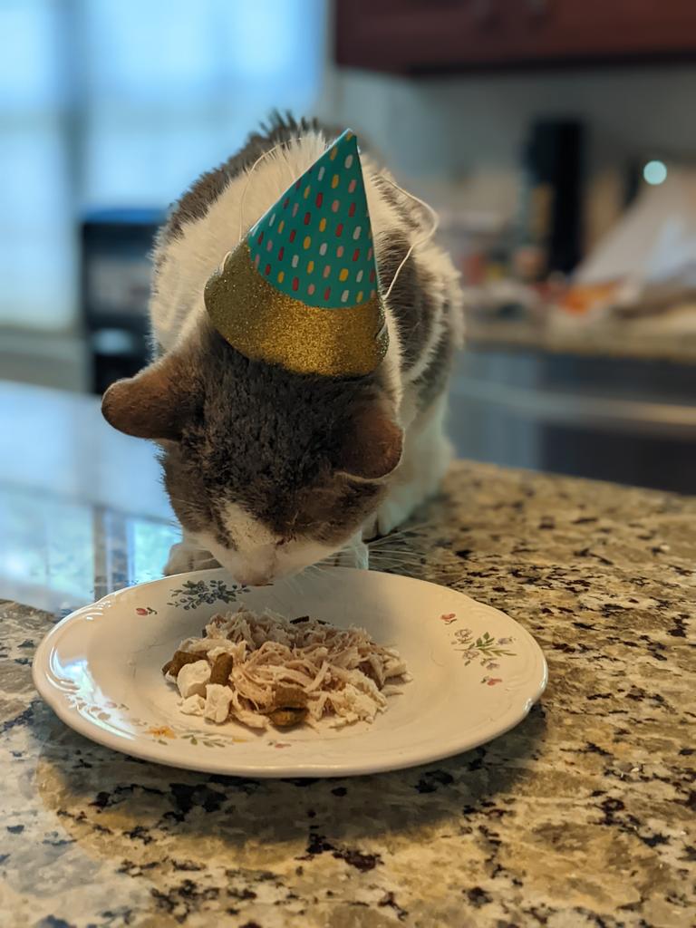 Denise 🇺🇦🇺🇦🇺🇦 tweet media