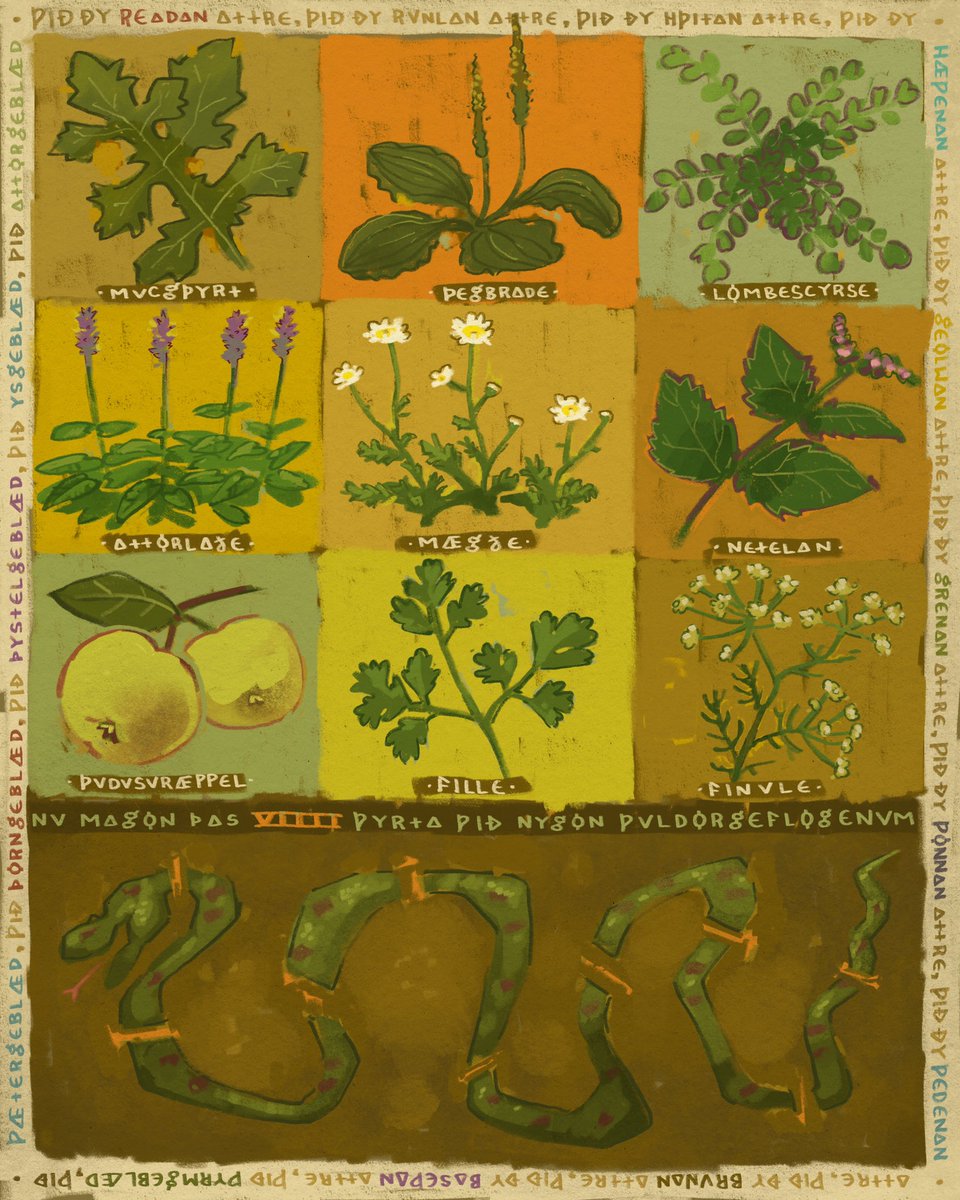 Based on the Nine Herbs Charm 🌿 
.
#herbalism #botanicalart #anglosaxonhistory #painting #art
