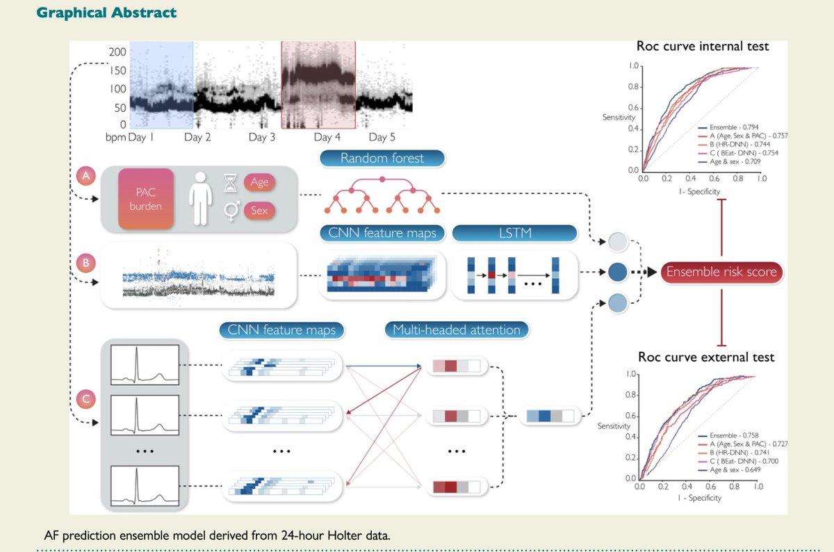 Sharing our recent work and the very first study of short-term prediction of atrial fibrillation from ambulatory monitoring ECG using a deep neural network

 academic.oup.com/ehjdh/advance-…

#EPeeps #cardiotwitter
<a href="/HRSonline/">Heart Rhythm Society</a> 
Register for HRX in San Diego in Sept. ExperienceHRX.com