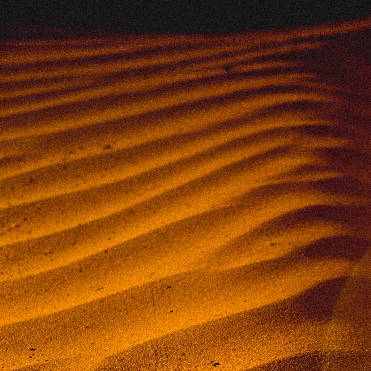 _hogn_'s tweet photo. Sahara. 🎞️ https://t.co/krJznUTuxQ