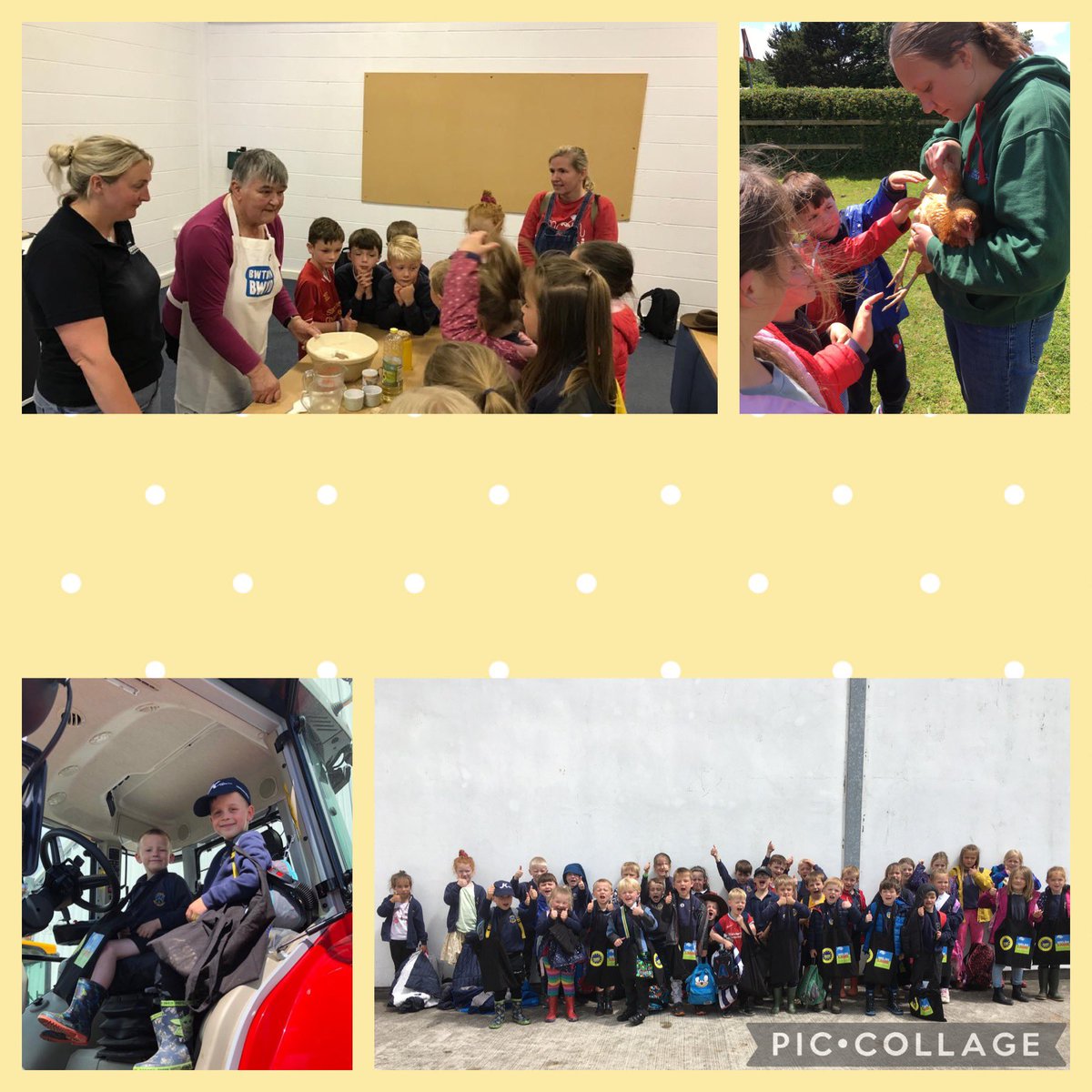 Ysgol Bro Cinmeirch (@brocinmeirch) on Twitter photo Hwyl a sbri ar ein trip i Lysfasi heddiw yn dysgu am agweddau ffermio. Diolch! So much fun on our trip to the Cows on Tour today learning about all aspects of farming. Thank you! <a href="/CowsOnTour/">CowsOnTour</a> <a href="/llysfasi/">Janet Wright</a> 🐄 🥛 Hwyl a sbri ar ein trip i Lysfasi heddiw yn dysgu am agweddau ffermio. Diolch! So much fun on our trip to the Cows on Tour today learning about all aspects of farming. Thank you! <a href="/CowsOnTour/">CowsOnTour</a> <a href="/llysfasi/">Janet Wright</a> 🐄 🥛