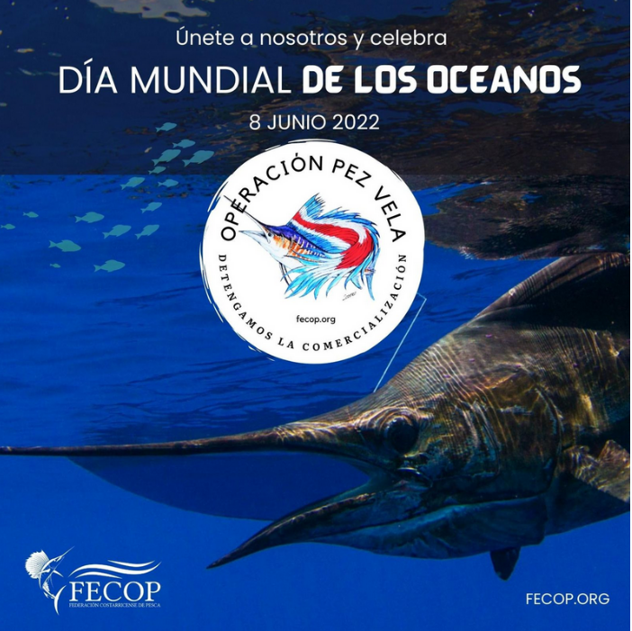 pescaparafuturo's tweet photo. 8 de Junio día mundial de Los Océanos, celebremos cuidando este recurso tan valioso. https://t.co/SXzkhLPnNM
