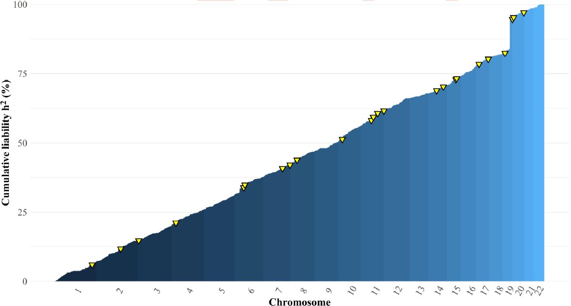 Our local analysis of heritability estimates that ~90% of common variant SNP heritability of AD exists outside the APOE region, indicating a continuous accumulation of heritability across the genome with a pronounced discontinuity at the APOE locus. 7/10