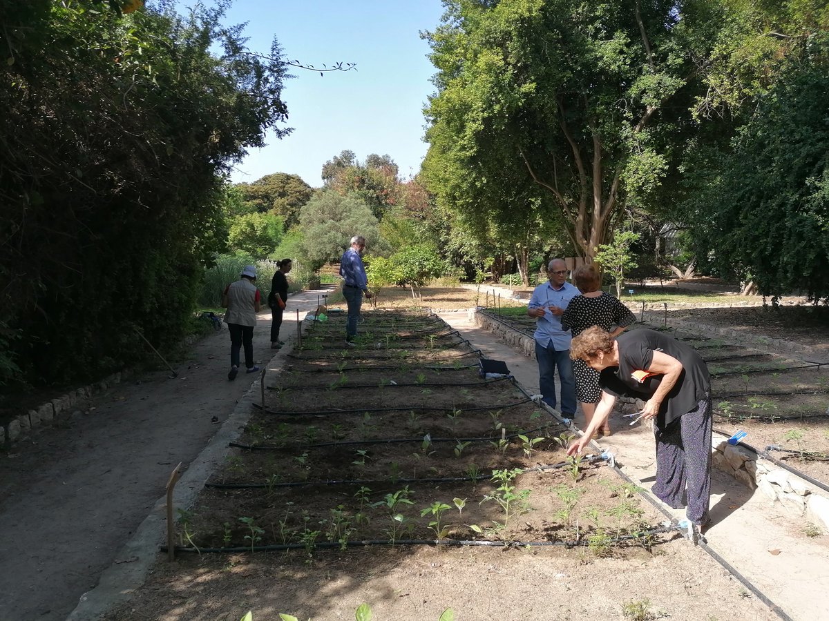 Daniela Loi tweet media