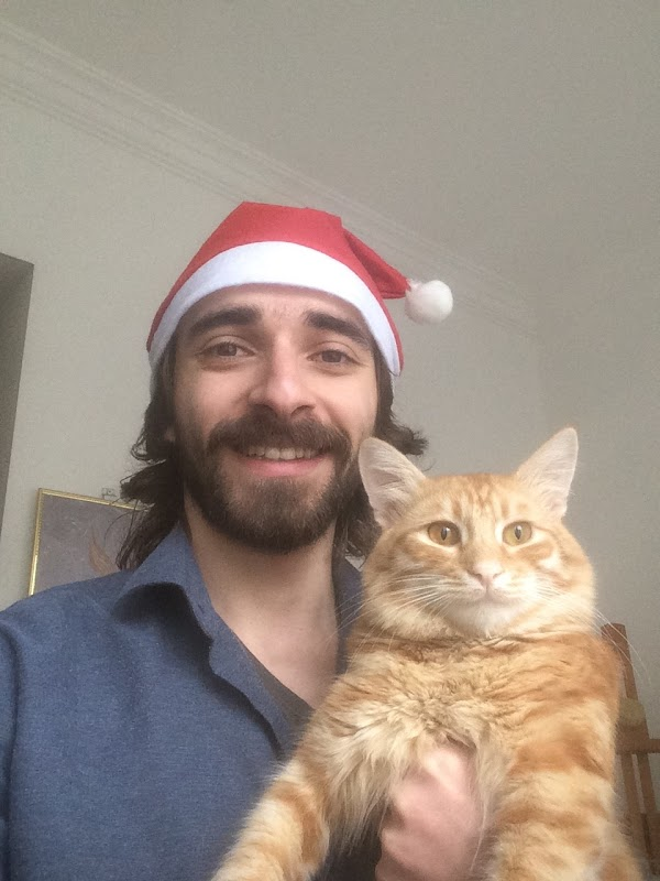 Seamorphus tweet media