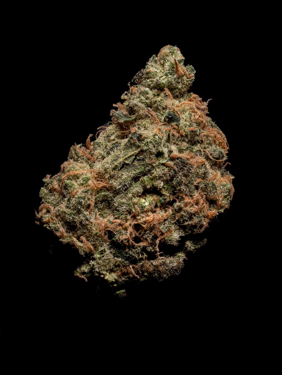 Aonowl's tweet photo. Some shots from #Thaigrower . This is just the small one. follow for som more.
 #lilacdiesel #weedphotography . https://t.co/xrLTdM0r6Y