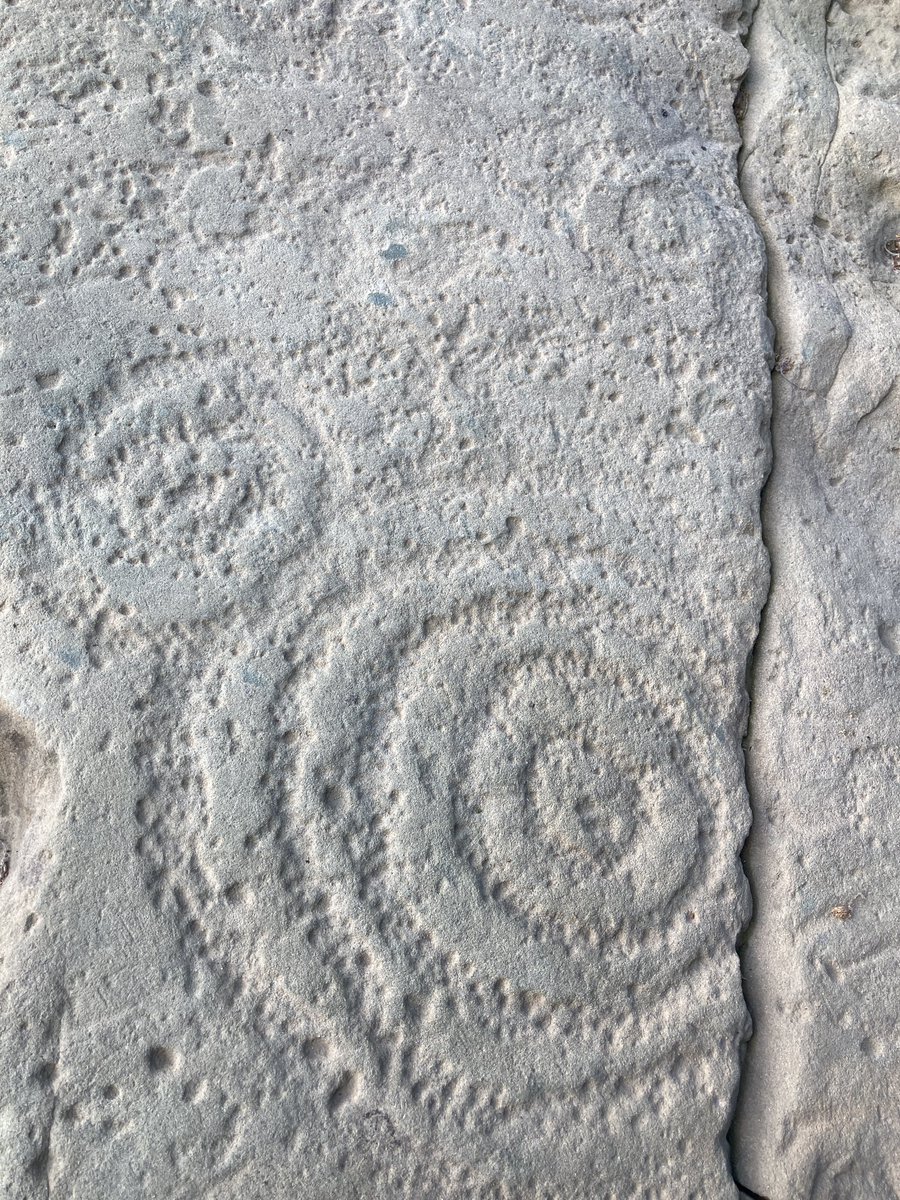 fselighthouse's tweet photo. Greetings from Ireland! 🇮🇪

We’ve kicked off the tour today with an incredible archaeological tour of the UNESCO World Heritage site at Dowth! https://t.co/OeBqqijV2L