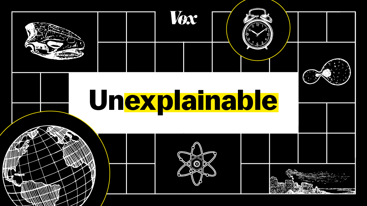 Vox tweet media