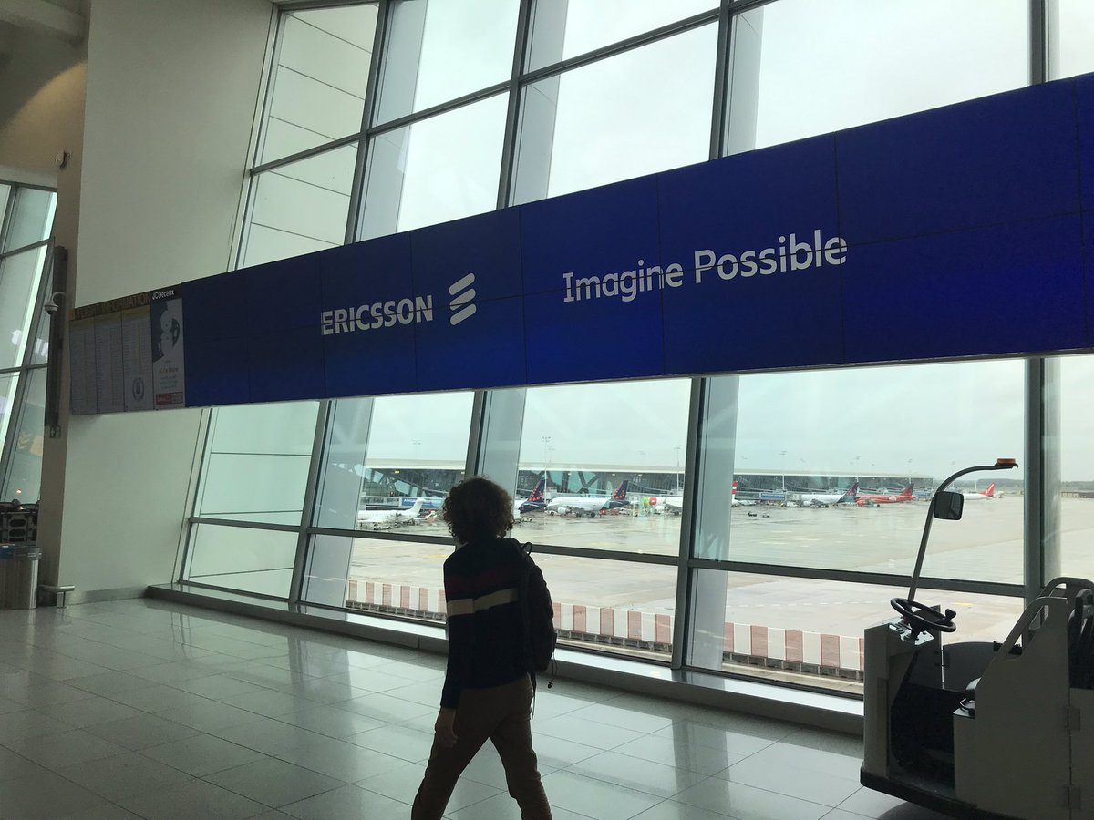 Rene Summer tweet media