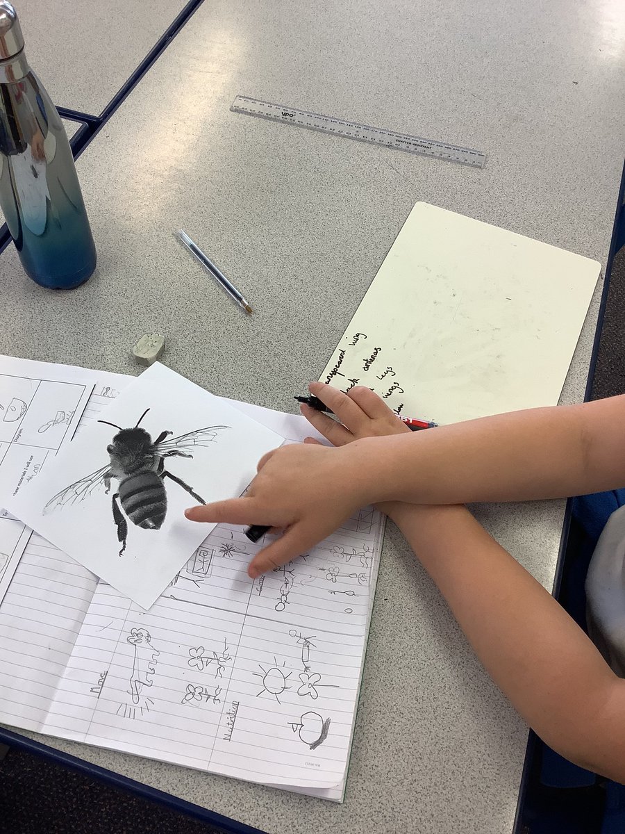 Year5tcps's tweet photo. Our super scientists enjoyed making detailed observations today. Well done all!👩‍🔬 #scienceeducation https://t.co/AsQOE9EJ20