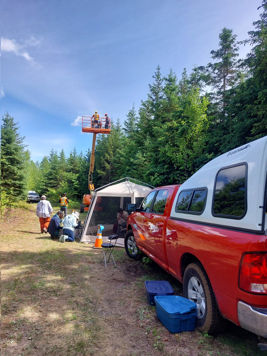 Marine Duperat (@mauditchablis) on Twitter photo Fieldwork for the #FastPheno project begins ! Lift, drone, hyperspectral camera, lidar, spectrometer, fluorimeter, and other stuff to play with 😁
Follow #fastpheno for more updates 🙃
<a href="/UofT/">University of Toronto</a> <a href="/universitelaval/">Université Laval</a> @cflscf <a href="/MFFP_Quebec/">MFFP_Quebec</a> <a href="/NRCan/">Natural Resources</a> <a href="/nisabel1/">Nathalie Isabel</a> <a href="/godjulie/">Julie Godbout</a> <a href="/ensmingerlab/">Ingo Ensminger</a> #science Fieldwork for the #FastPheno project begins ! Lift, drone, hyperspectral camera, lidar, spectrometer, fluorimeter, and other stuff to play with 😁
Follow #fastpheno for more updates 🙃
<a href="/UofT/">University of Toronto</a> <a href="/universitelaval/">Université Laval</a> @cflscf <a href="/MFFP_Quebec/">MFFP_Quebec</a> <a href="/NRCan/">Natural Resources</a> <a href="/nisabel1/">Nathalie Isabel</a> <a href="/godjulie/">Julie Godbout</a> <a href="/ensmingerlab/">Ingo Ensminger</a> #science