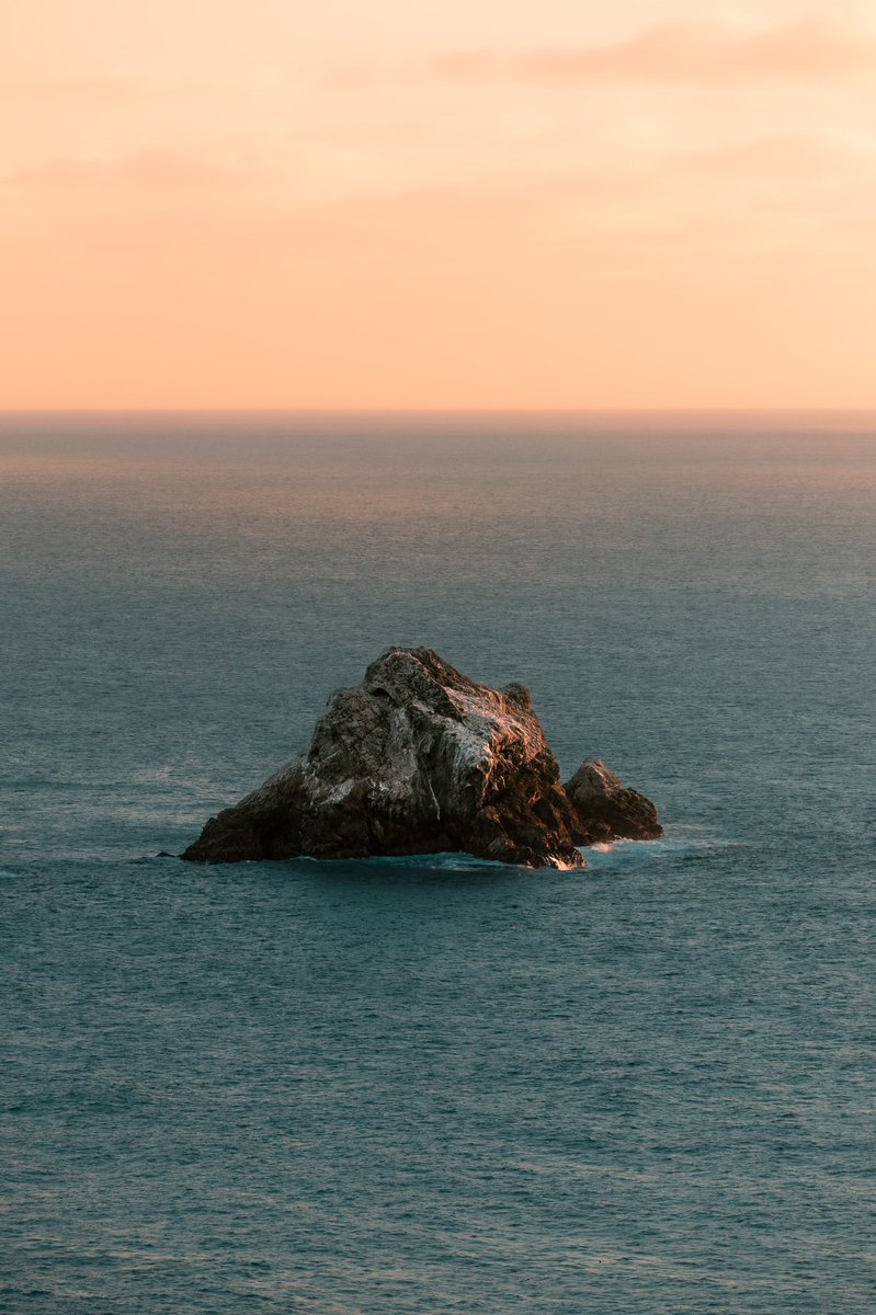 jaime del pizzo tweet media