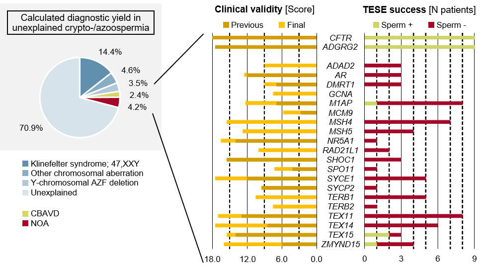 MargotWyrwoll's tweet photo. Four years of #exome sequencing in #infertile azoospermic men identified the 21 diagnostically most relevant #genes. Analysing these will allow for individualised counselling and informed treatment decisions. Check out our recent paper @EUplatinum: https://t.co/QwFNJQRDXQ https://t.co/4zr6OdnUY4