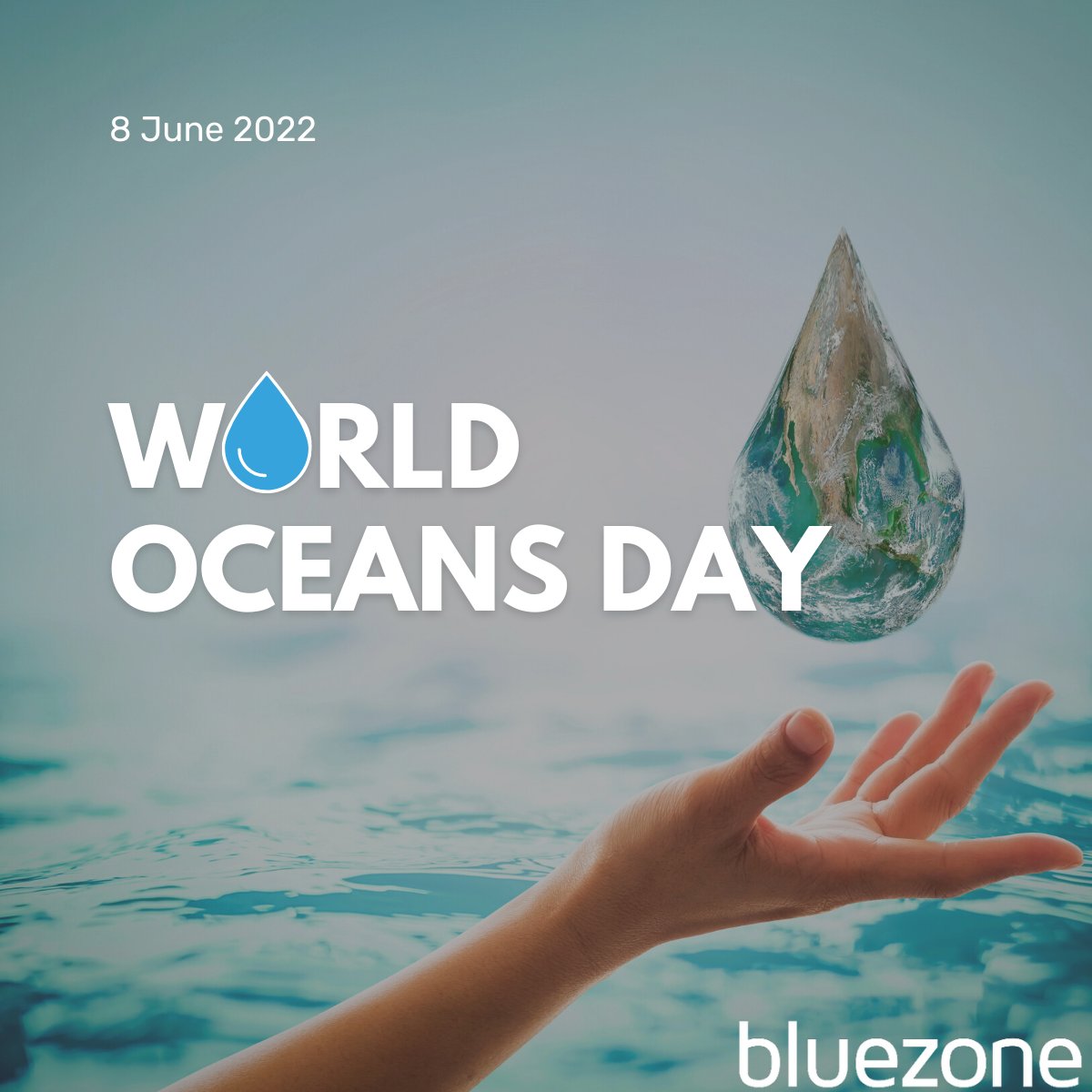 Bluezone24 tweet media