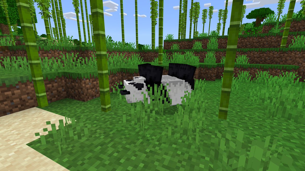 spookyicecat's tweet photo. I made some cute little friends today in Minecraft! 

Fed a panda some bamboo (so cute🥺), then this cute lil baby panda followed me around and grew up to befriend this parrot :D 

#Minecraft #Minecraftbuilds #minecraftwildupdate #minecraftpanda #minecraftparrot https://t.co/5HqjA303oJ