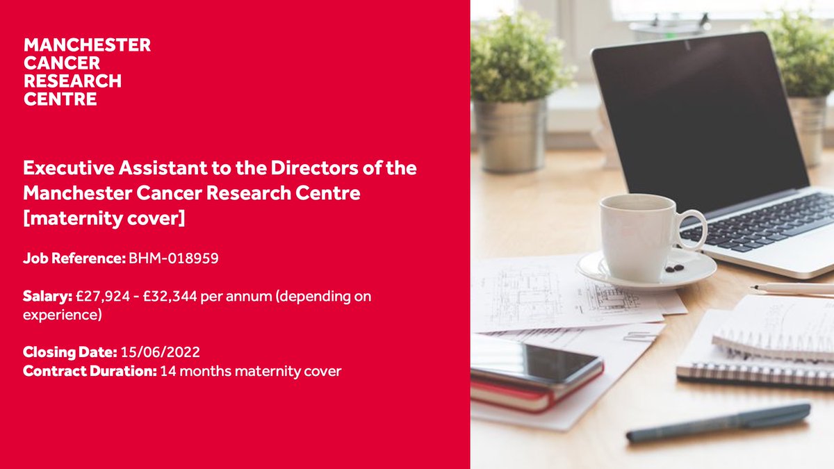 MCRCnews's tweet photo. 🚨 1 WEEK LEFT TO APPLY🚨

👤 Executive Assistant to the MCRC Directors
💻The post holder will provide senior administrative and operational support to the MCRC Directors
💪 Flexible and blended working available
‼️ Closing: 15/06/2022
#MCRjobs APPLY NOW🔗 https://t.co/h4gHcyOrks https://t.co/b3YRLApSny