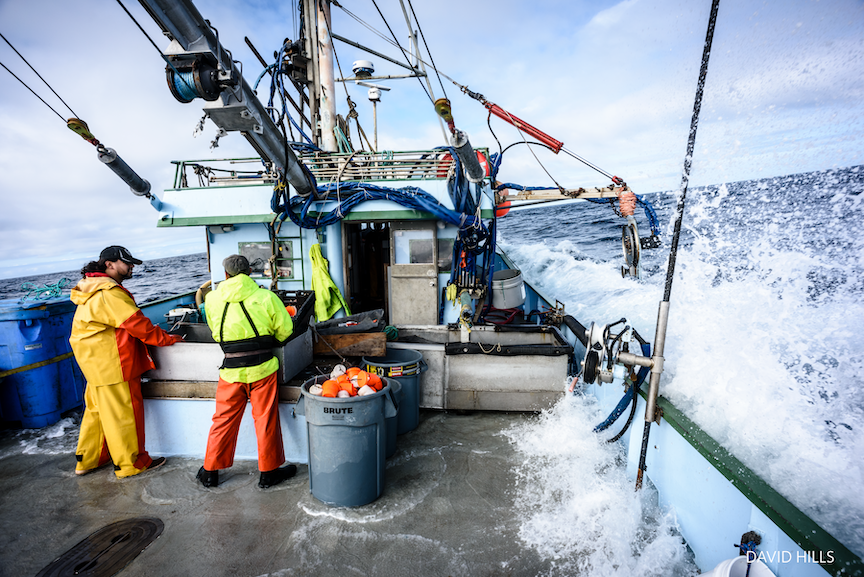 nature_org's tweet photo. 🐟 Sustainable Fisheries = Healthy Oceans. 
Healthy Oceans = Nature and human communities thriving together. 

This #WorldOceanDay, dive deeper: 
https://t.co/tNYJtzQs0Q 

#WorldOceanDay2022
#GrowPositive https://t.co/e5AYfJ99Ga