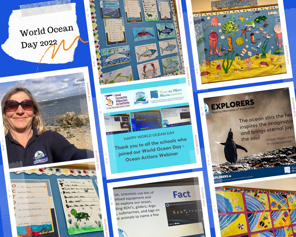 Celebrating #WorldOceanDay with schools across Ireland online, on the shore and in class 💙💙💙 @MarineInst @GalwayAquarium @marinedimension #oceaninspiration