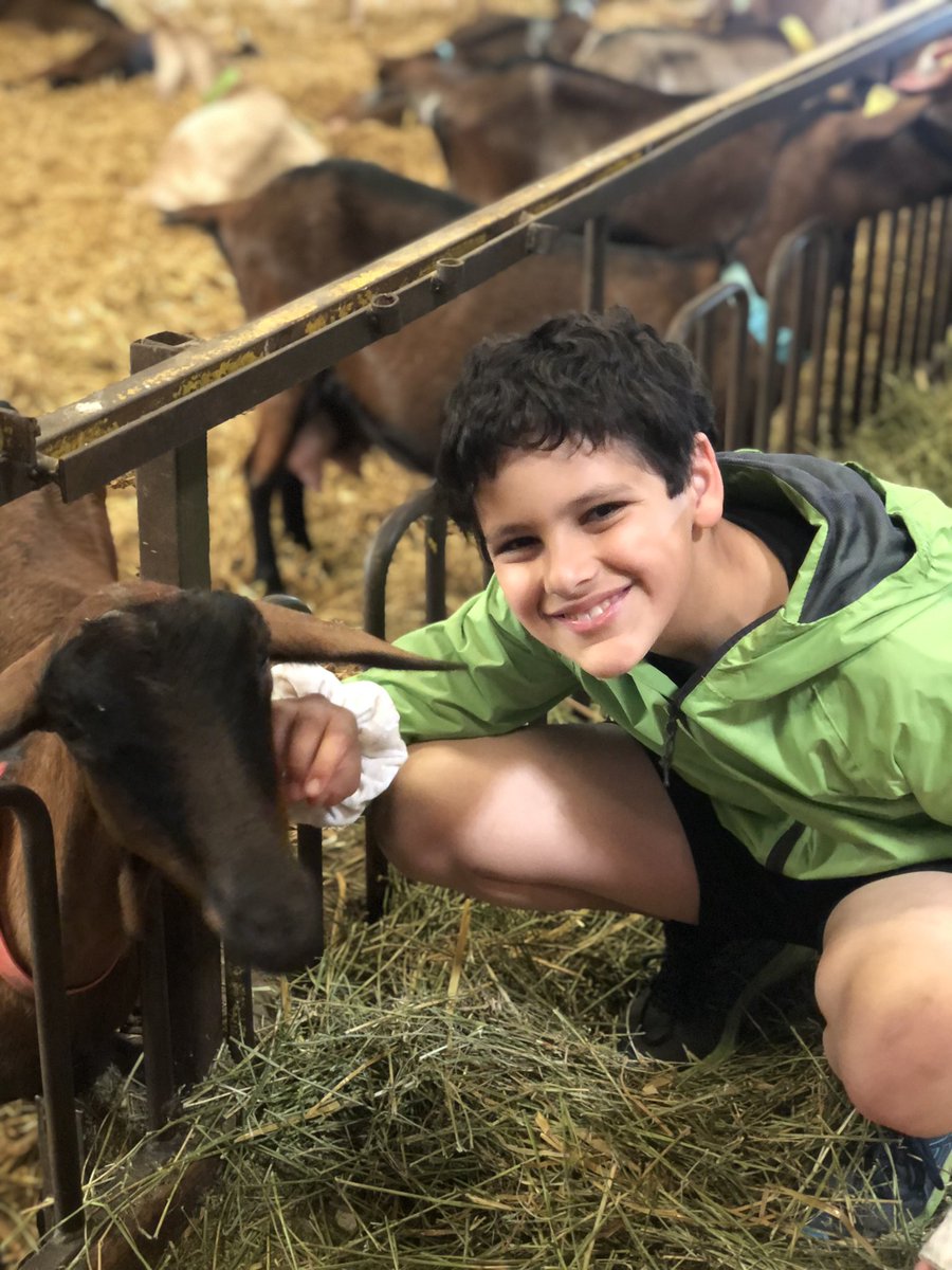 LaxtonJunior's tweet photo. The trip to a ‘chevrerie’ exceeded all expectations and the goats were so adored, we had to check none had been sneaked back onto the bus… #FrenchTrip #WeAreLJS #chevrerie https://t.co/1EB0OwDqUC