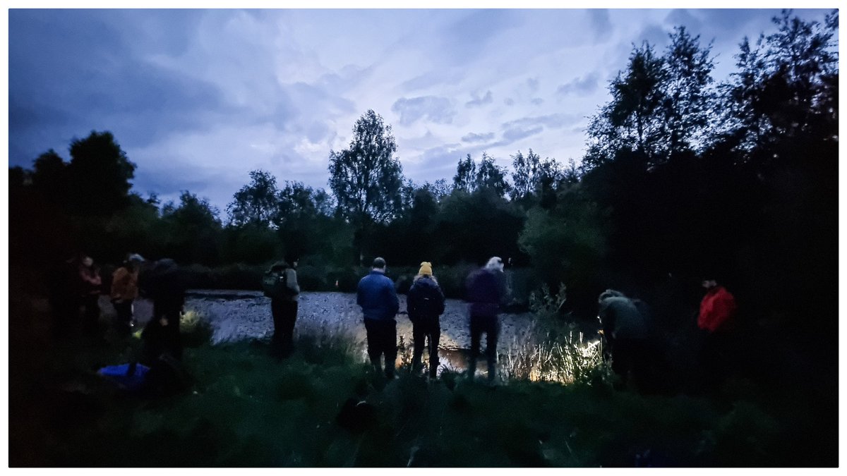 ApBeverley's tweet photo. Students making the most of sector opportunities.
Fantastic to see such a healthy population of Great Crested Newt,  amongst a thriving pond community. https://t.co/yLm5aSqTHB