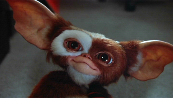 landofthe80s's tweet photo. Gizmo and company introduced themselves to us as "Gremlins" debuted in theatres today back in 1984. #80s #80smovies #1980s https://t.co/XWup9ZrWlb