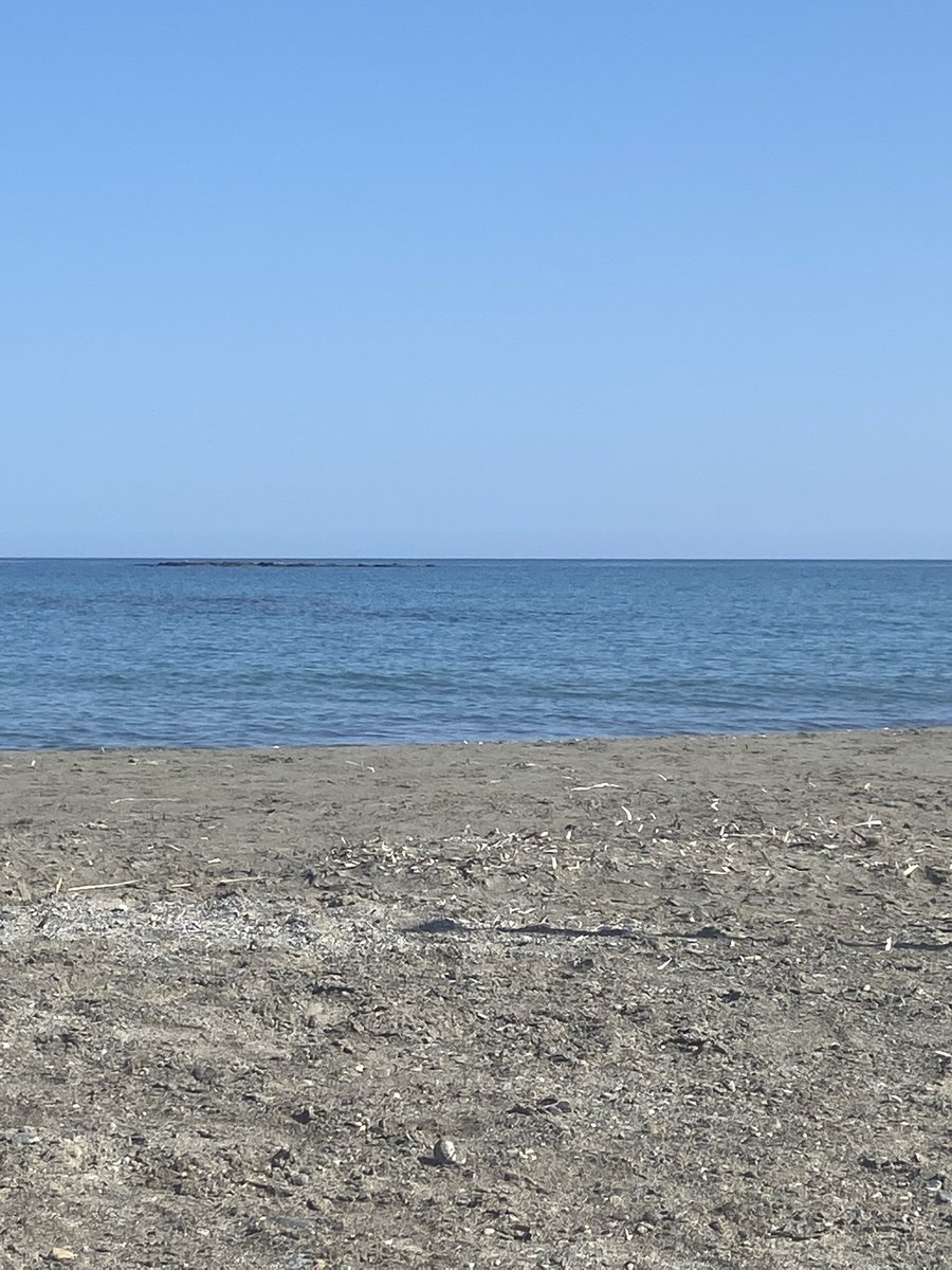 Alex G💙 💚 tweet media