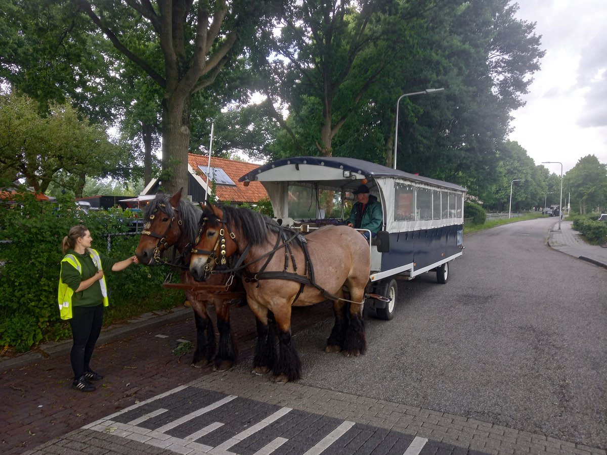 WBklooienberg's tweet photo. Afgelopen maandag werd na lange tijd weer het schaapscheerdersfeest gehouden. Er werden meer activiteiten gehouden. Ondanks de regenbuien die zo af en toe vielen was het gezellig druk. https://t.co/VG0KxDXVv8