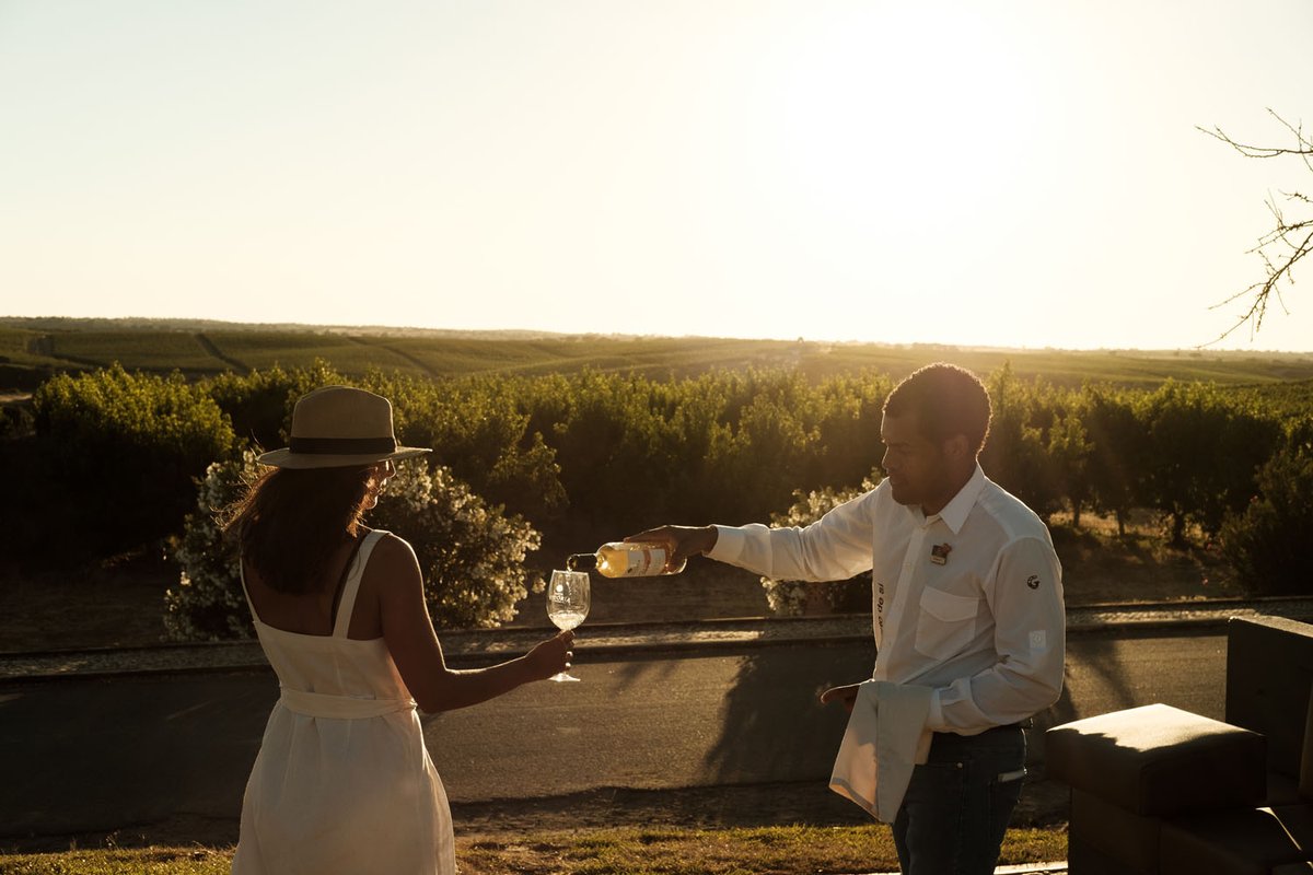 Não perca o Open Day da Santa Vitória! Venha passar um dia connosco e fique a conhecer a herdade onde são produzidos os nossos vinhos e azeites. ⁠
➡️bit.ly/cabaz-experien…
#vilagale #santavitoriavinhos #vinhoregionalalentejo #vinhosportugueses