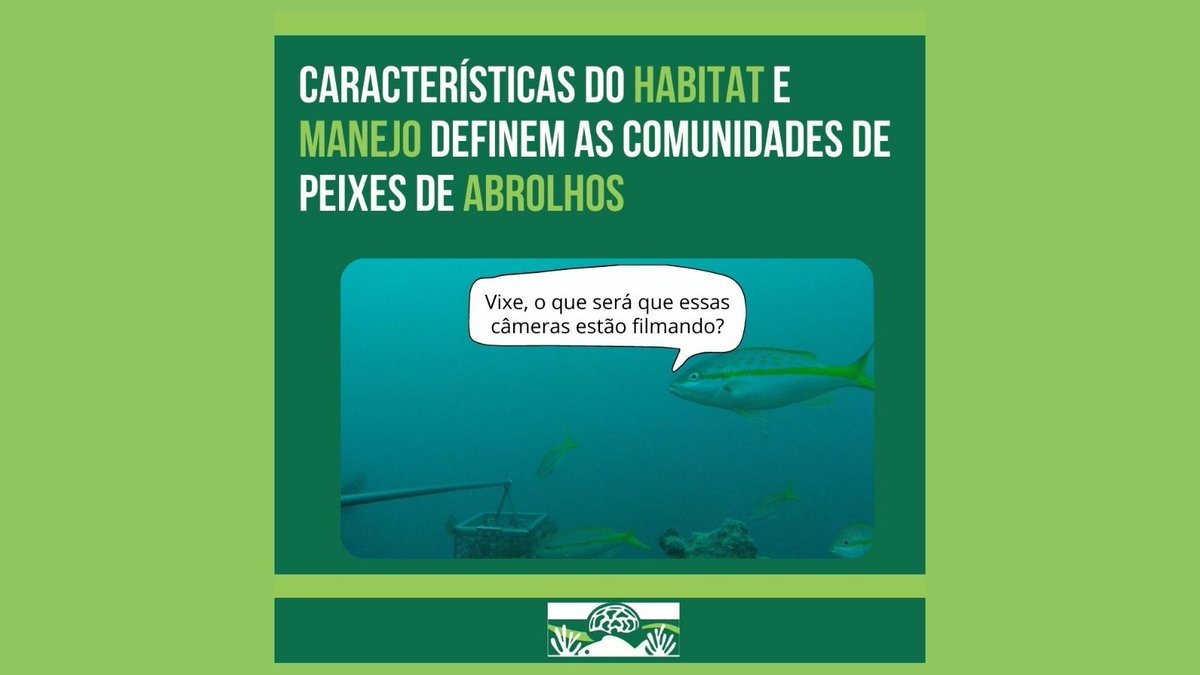 redeabrolhos's tweet photo. 🌊 DIA DO OCEANO 🌊
Como o habitat e o manejo influenciam a abundância, a biomassa e a diversidade das comunidades de peixes? Siga o fio para entender como endereçamos essa pergunta e como os resultados podem contribuir com a gestão dos recursos do mar... https://t.co/k6mYf6fwlV