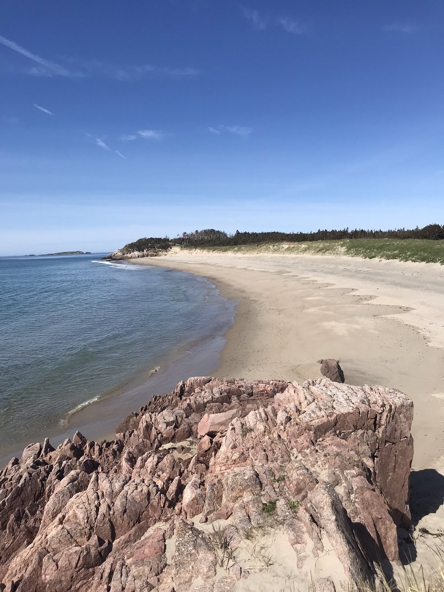 Karen Banfield Hare tweet media