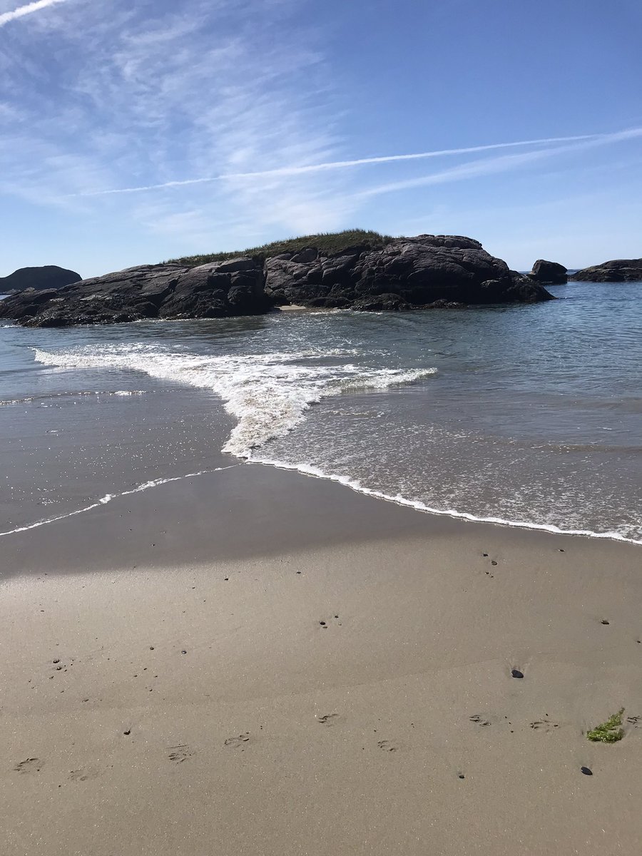 Karen Banfield Hare tweet media