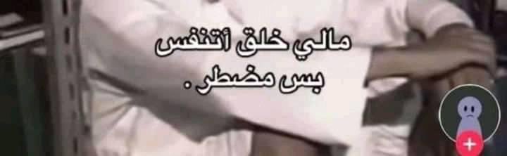 العنكبوت النونو خطفت قلبه عنكبوته (@i1911_) on Twitter photo 