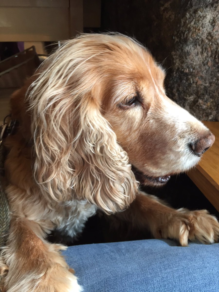 Lin Harrison tweet media