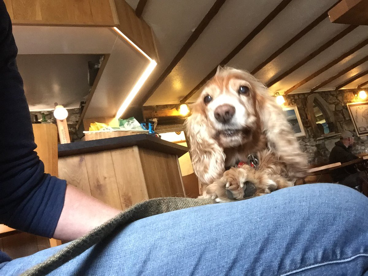 Lin Harrison tweet media