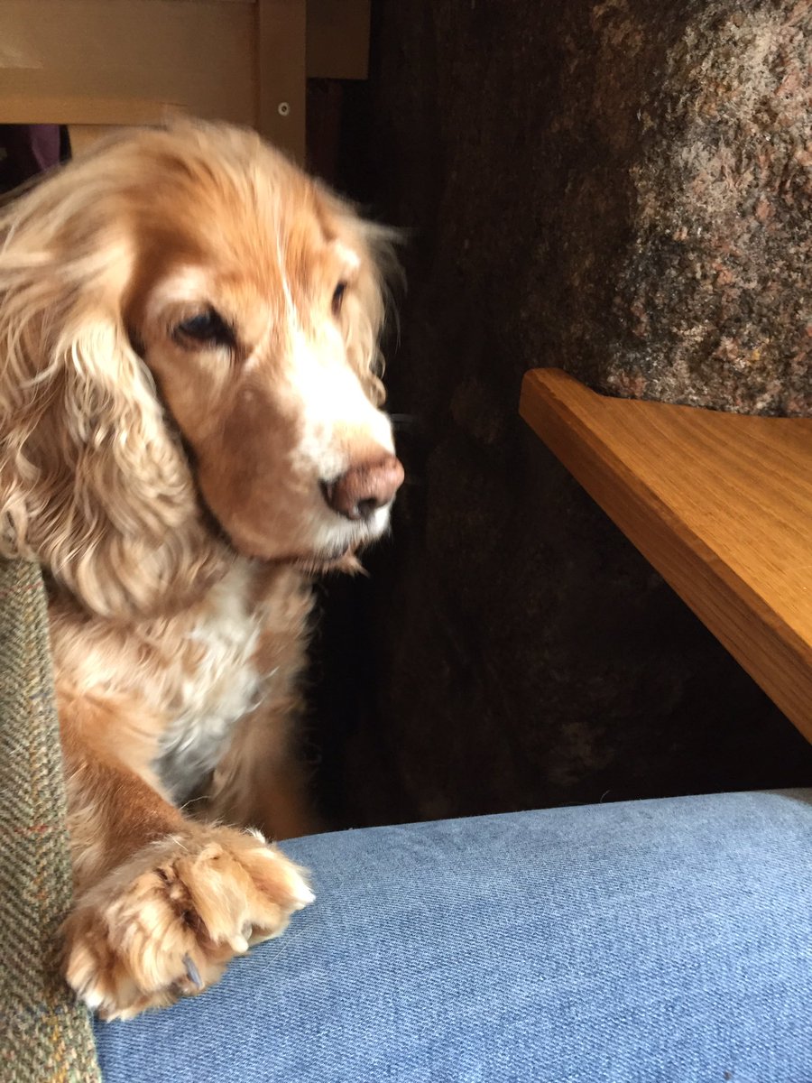 Lin Harrison tweet media