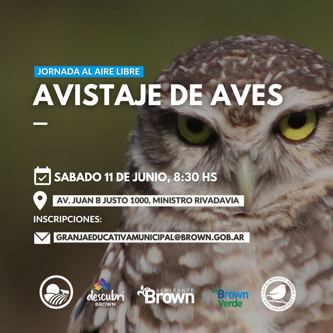 altebrownverde's tweet photo. 🦉El próximo sábado 11 a las 8:30 hs se realizará una salida de observación de aves en Ministro Rivadavia en el marco del #MesDelAmbienteEnBrown junto al @coabrown 

❗Para participar, es necesario inscribirse por correo electrónico a granjaeducativamunicipal@brown.gob.ar https://t.co/A1siFnczrn