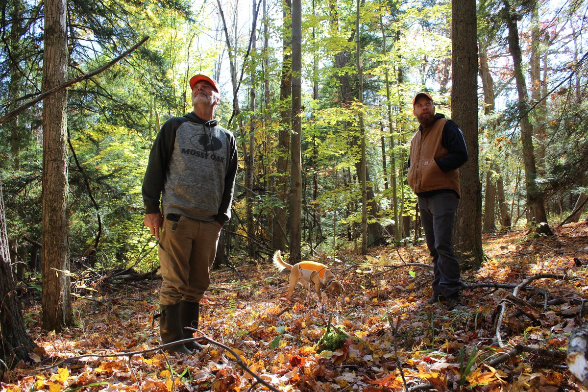 info_iasnr's tweet photo. New #OpenAccess #SNR paper by Abigail Jamison & Allyson B. Muth. When private landowners seek guidance in caring for their forests, building relationships with trusted advisors is key to learning and action. https://t.co/KFnxHco7NK #pennstate #agsciences #psuecosystems https://t.co/LFPXk5COCu