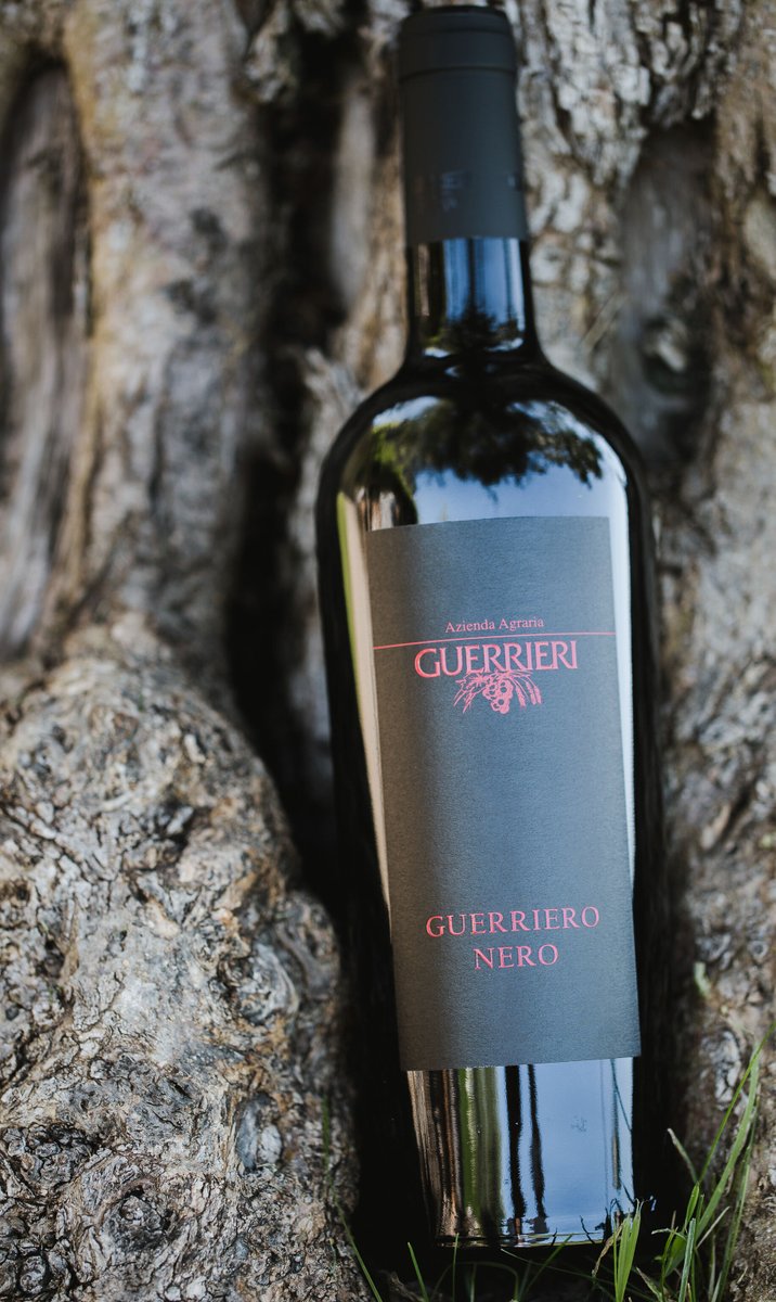Are you looking for a new red wine to try? Then check out this Guerriero Nero 2019!🍷

This is an Italian wine which pairs beautifully with a succulent, juicy steak!🇮🇹🍷🥩

For more information, head to our website.🖥

bit.ly/3D4MQcu