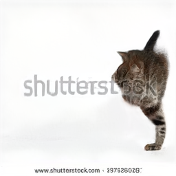 amoebadesign's tweet image. Got sent some moody Russian ruDall-E GAN images last week from my dev piotr, that had shutterstock logos generated in them, oh how we laughed....now looks like the real Dall-E is doing the same...