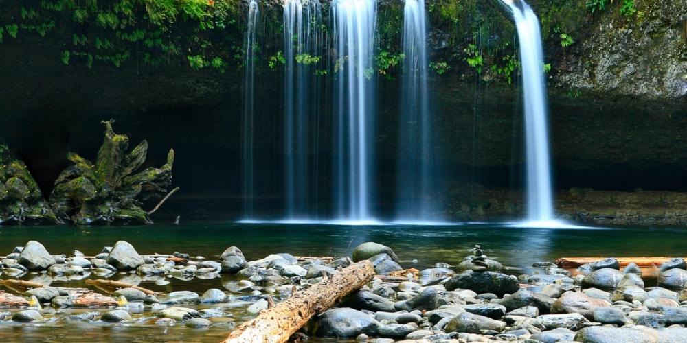 Fluffypaws22's tweet photo. How beautiful is that?
#Water #Plant #Waterresources #Ecoregion #Botany #Leaf #Fluviallandformsofstreams #Naturallandscape #Nature #Spring https://t.co/7qY67vsGUw